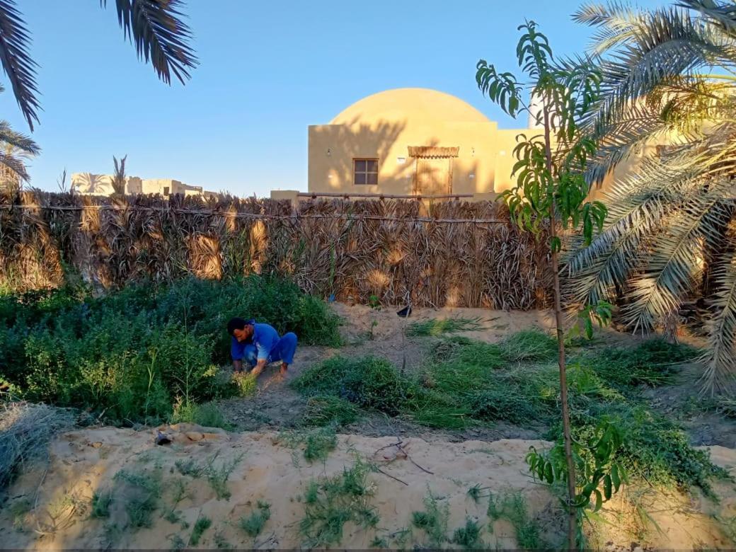 Villa Wafla à Siwa Oasis Extérieur photo