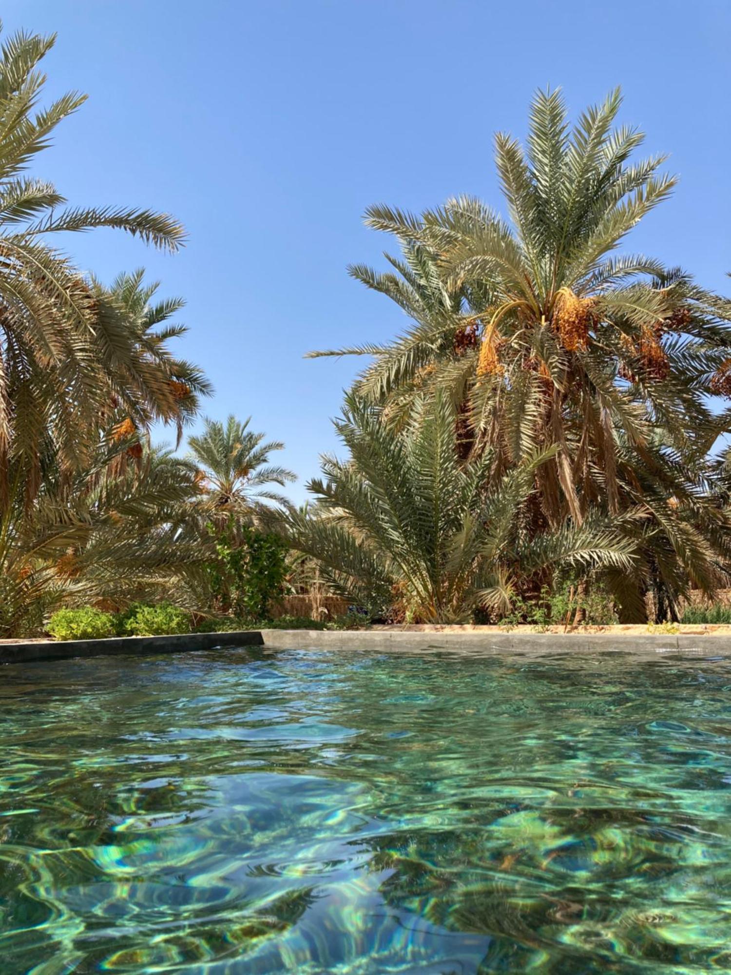 Villa Wafla à Siwa Oasis Extérieur photo