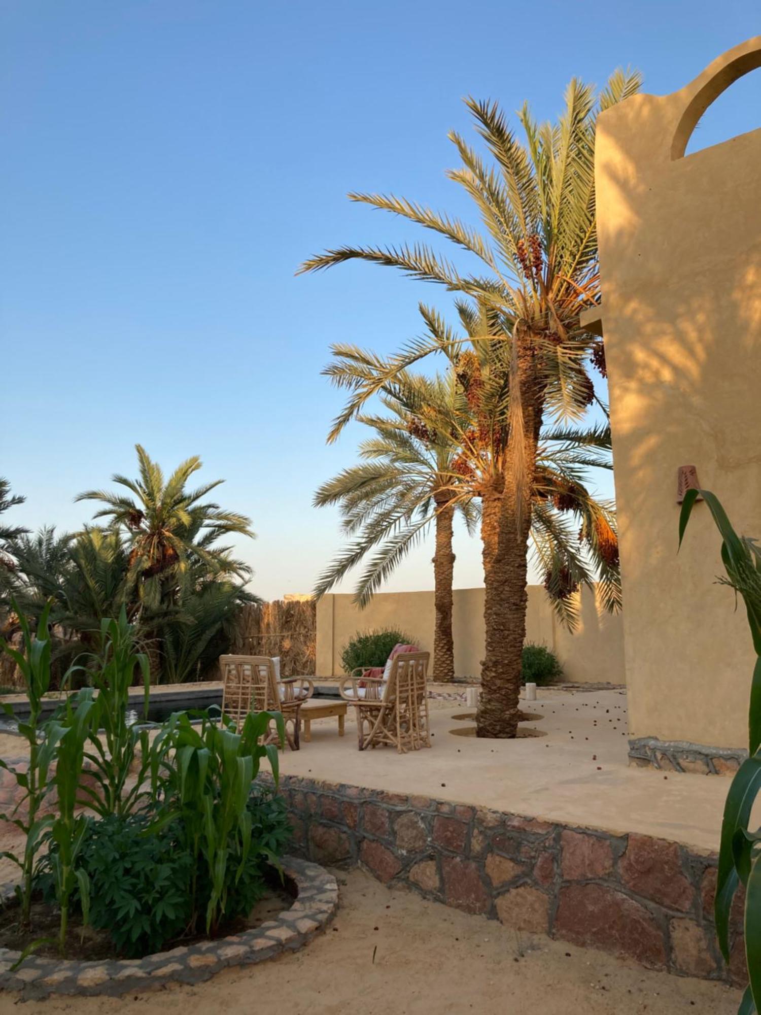 Villa Wafla à Siwa Oasis Extérieur photo